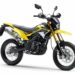 Kawasaki D-Tracker 150 Special Edition 2021 Punya Warna Baru