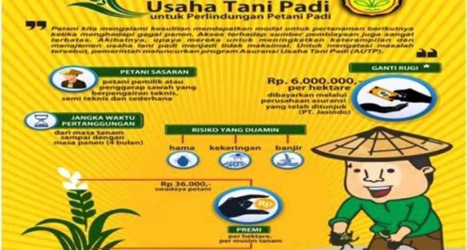 
Petani Bolsel di 5 Kecamatan Dapat Program AUTP