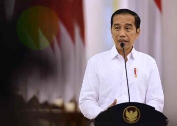 Jokowi Ingin BUMN dan Swasta Dampingi Korporasi Petani-Nelayan