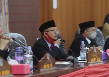 Peringatan Hari Pahlwan Ditengah Pandemi Covid-19, Rakyat Diminta Terapkan Prokes, DPRD Tetap Laksanakan Tupoksi