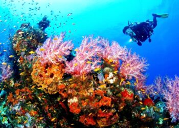 Turis dari Brazil dan Afsel Kagum Keindahan Laut Bolsel