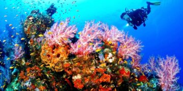 Turis dari Brazil dan Afsel Kagum Keindahan Laut Bolsel