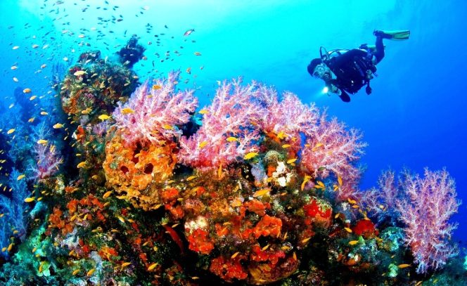 
Turis dari Brazil dan Afsel Kagum Keindahan Laut Bolsel