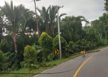 Akibat Angin Kencang, Pohon Tumbang Serta Listrik di Linawan dan Modisi Padam