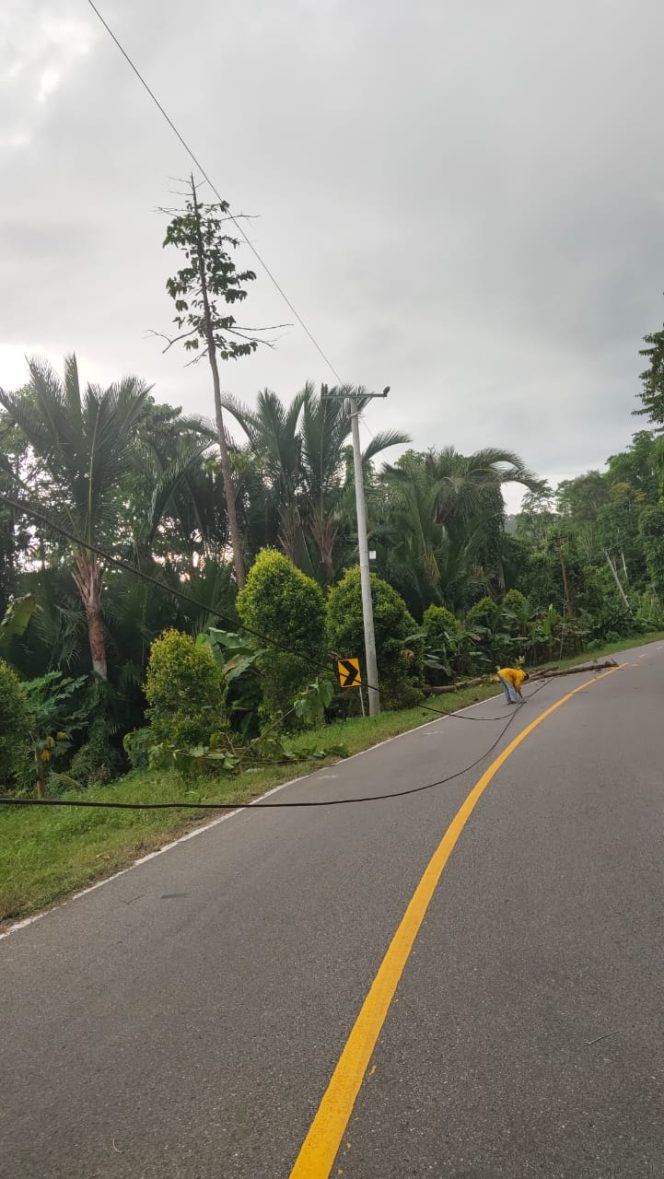 
Akibat Angin Kencang, Pohon Tumbang Serta Listrik di Linawan dan Modisi Padam