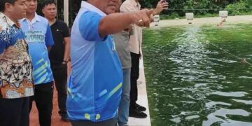 Kolam Renang KONI Tak Terawat, Gubernur Yulius Minta Dispora Lakukan Langkah Cepat