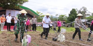 Walikota Kotamobagu Hadiri Kegiatan Penanaman Jagung di Desa Bungko