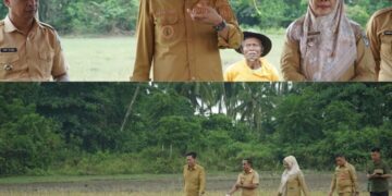 Tingkatkan Ketahanan Pangan Daerah, Bupati Bolsel Saksikan Panen Padi di Desa Tolondadu II