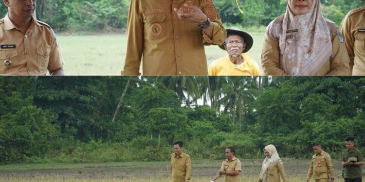 Tingkatkan Ketahanan Pangan Daerah, Bupati Bolsel Saksikan Panen Padi di Desa Tolondadu II