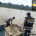 Lagi Asyik Bermain Tiga Remaja Temukan Mayat Bayi  di Sungai Musi