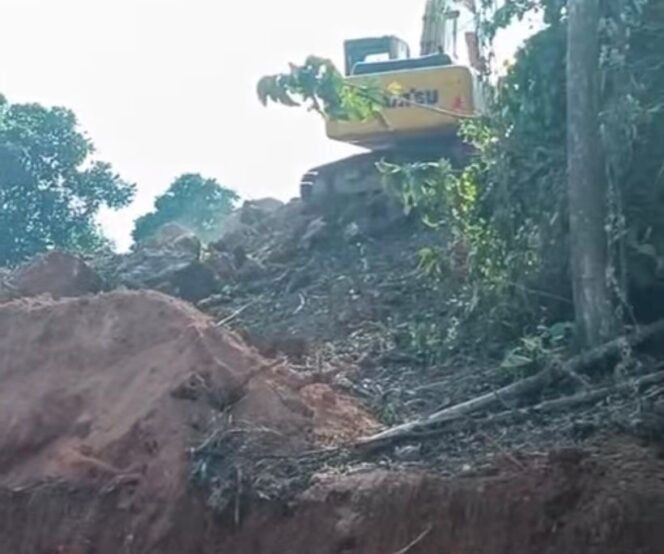 
 Bupati Iskandar Kamaru Tegas, Aktivitas Tambang Ilegal Puncak Landaso Dihentikan