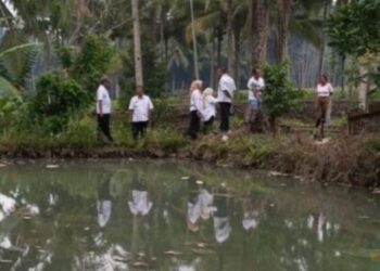 Tim Gabungan Uji Sampel Air Usai Ikan Mati Massal