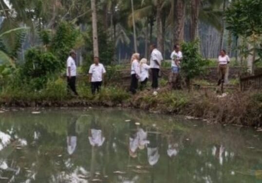 Pemkot Selidiki Kematian Ikan Massal di Poyowa Besar II
