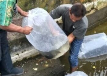 Pemkot Kotamobagu Komitmen Majukan Budidaya Perikanan