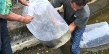 Pemkot Kotamobagu Komitmen Majukan Budidaya Perikanan