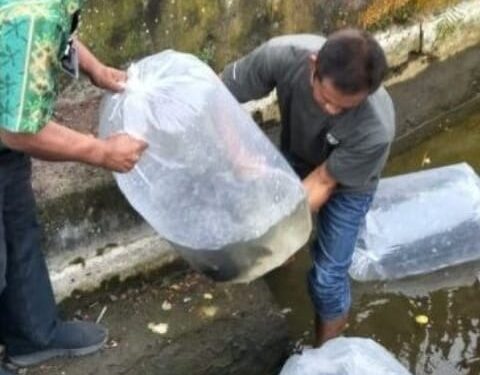 Pemkot Kotamobagu Komitmen Majukan Budidaya Perikanan