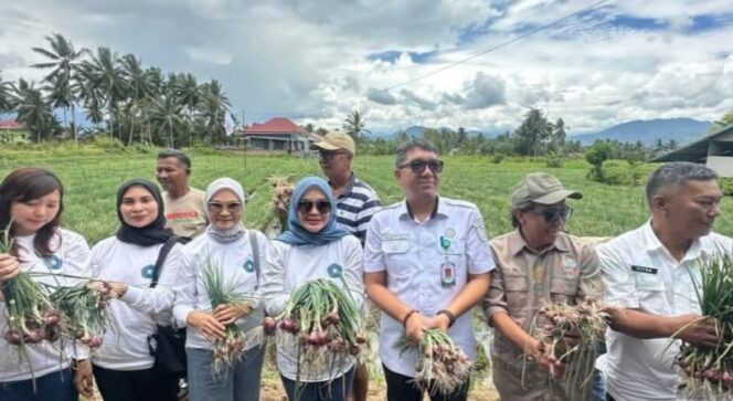 
TP-PKK Kotamobagu panen bawang merah.