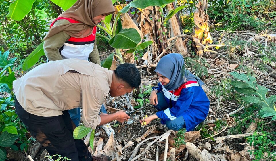 Pertamina Patra Niaga Regional Sulawesi dan UPT Kebun Raya Pucak Eksplorasi Tanaman di Kabupaten Bone